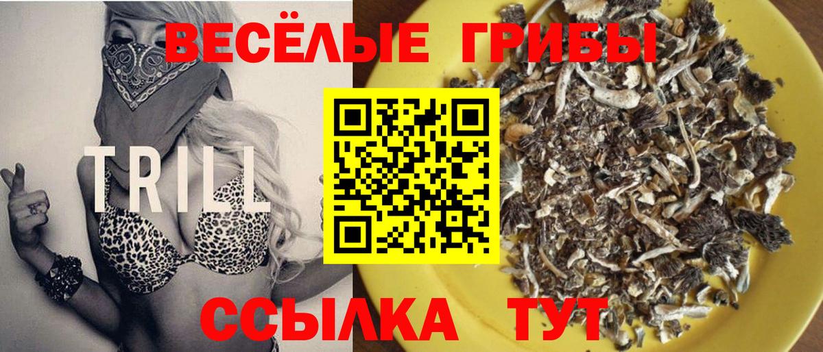 Галлюциногенные грибы прущие грибы  Вход с VPN  Красноуфимск 